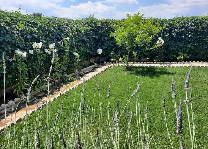 Ella's Sea View * Волос